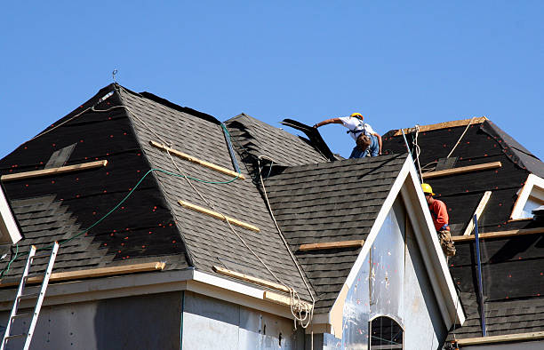 Best New Roof Installation  in Carrizo Hill, TX