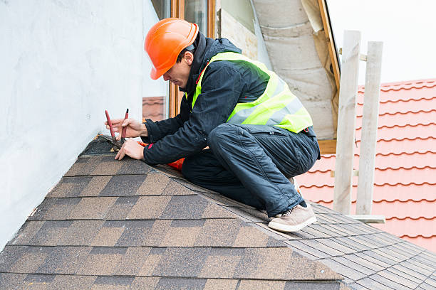 Best Roof Gutter Cleaning  in Carrizo Hill, TX