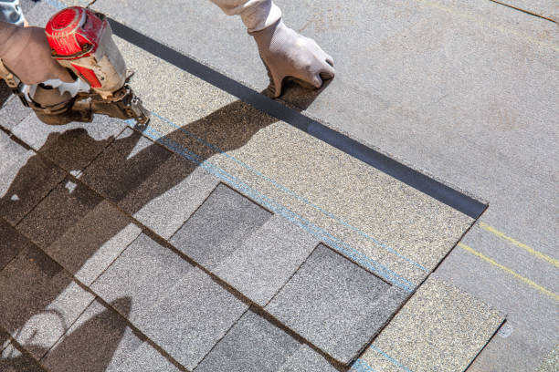 Best Shingle Roofing Installation  in Carrizo Hill, TX